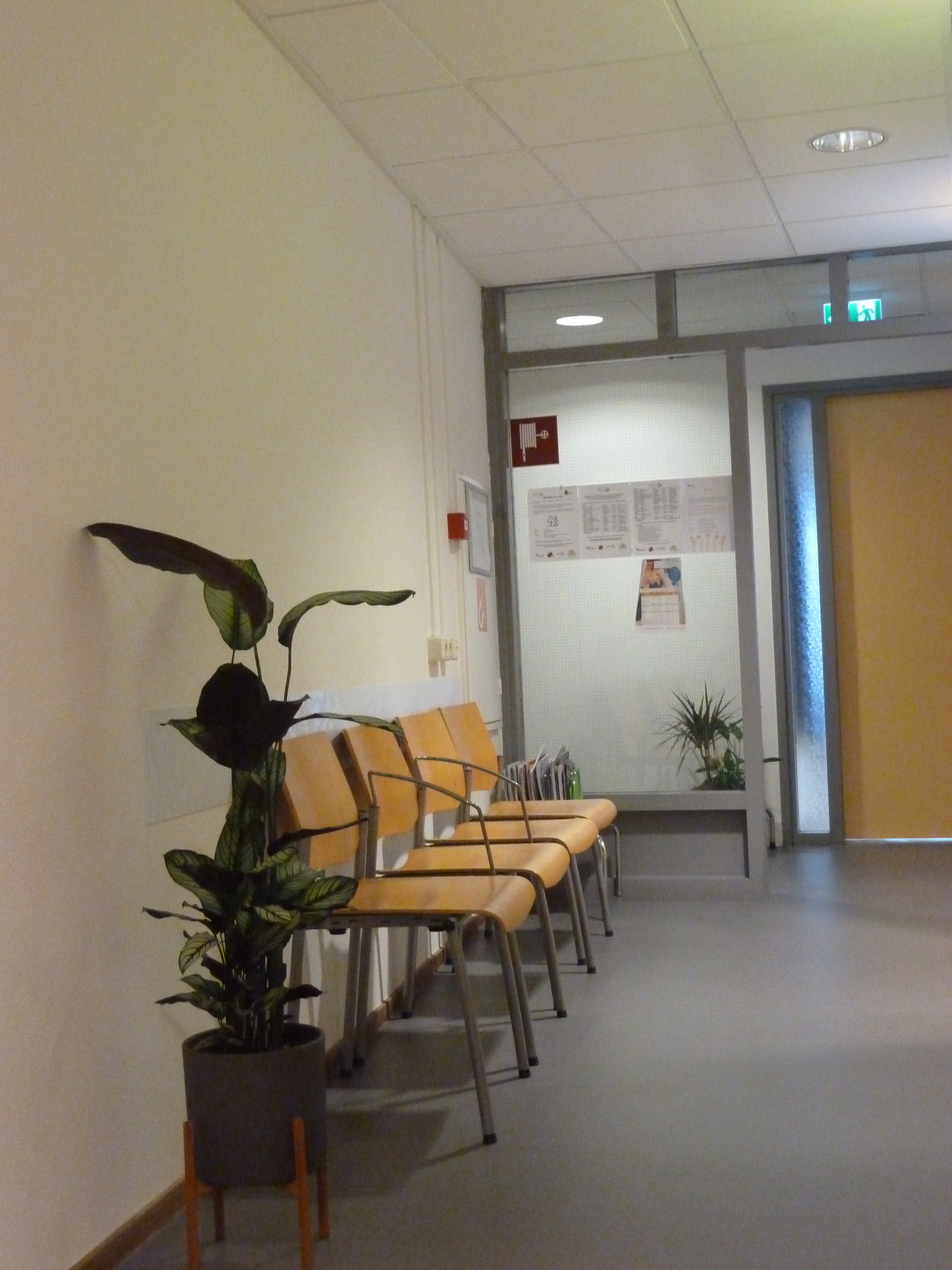 De sfeervolle wachtruimte van Fysiotherapie De Wissel